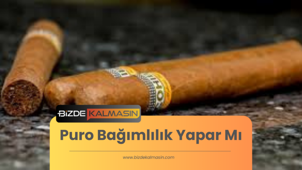 Puro Bağımlılık Yapar Mı