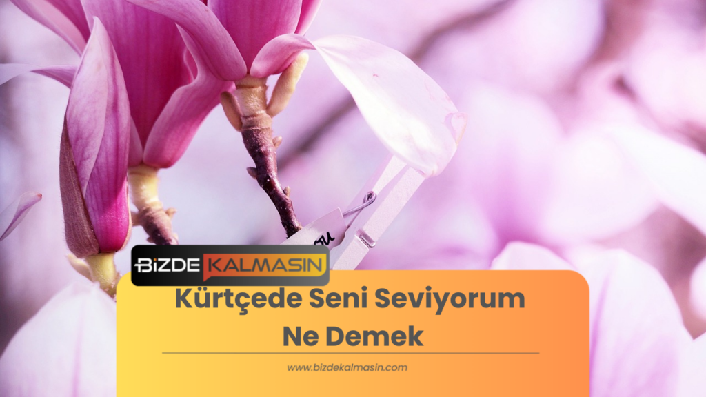 Kürtçede Seni Seviyorum Ne Demek