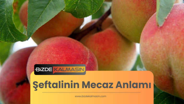 Şeftalinin Mecaz Anlamı