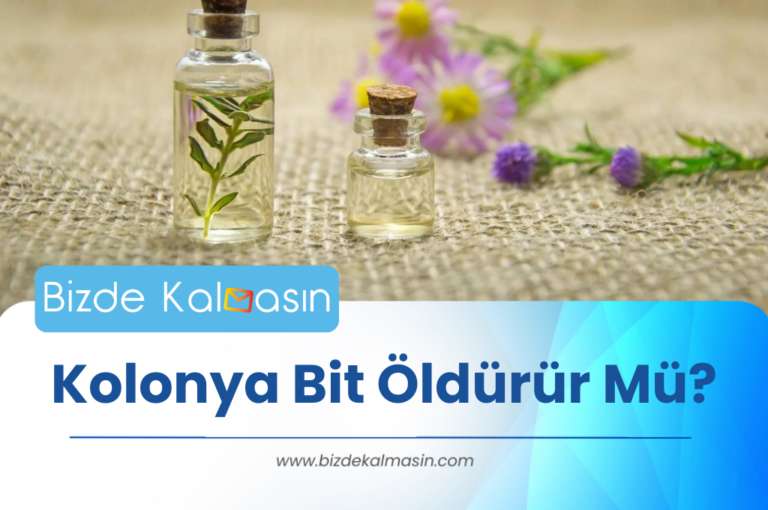 Kolonya Bit Öldürür Mü? – Kolonyanın Bitleri Öldürme Etkisi ?