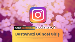 Bestwhozi Güncel Giriş