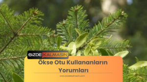 Ökse Otu Kullananların Yorumları