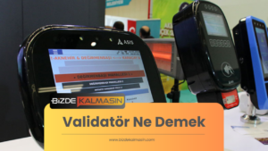 Validatör Ne Demek