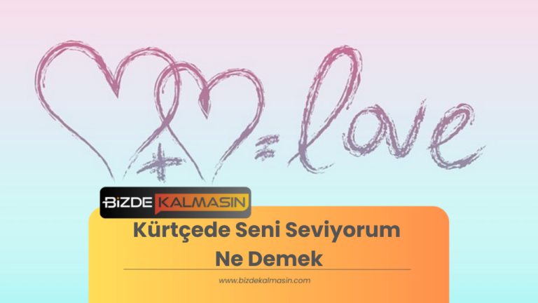 Kürtçede Seni Seviyorum Ne Demek – Kürtçe Seni Özledim