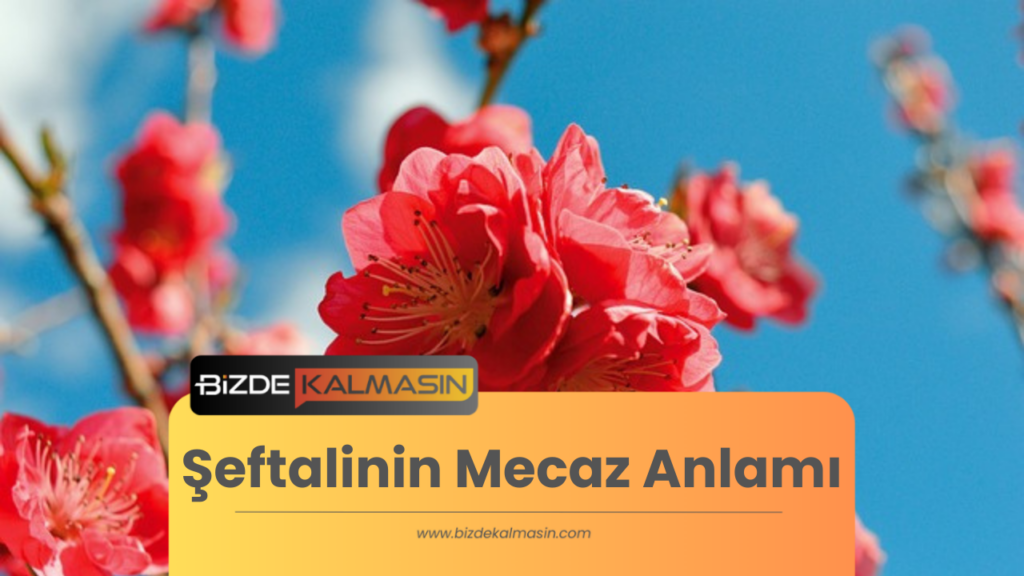 Şeftalinin Mecaz Anlamı