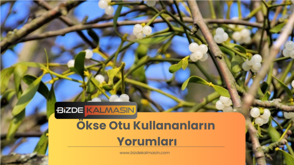 Ökse Otu Kullananların Yorumları