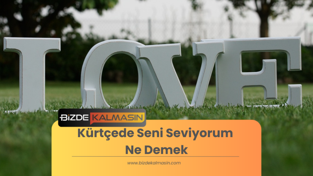 Kürtçede Seni Seviyorum Ne Demek