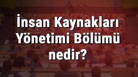 Ücretsiz Eğitim İmkanları ve Kaynakları