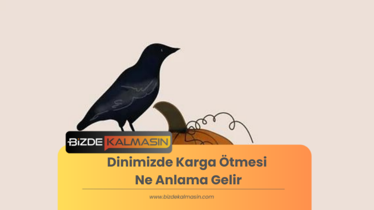 Dinimizde Karga Ötmesi Ne Anlama Gelir ? – Evin Yanında Kargo Ötmesi