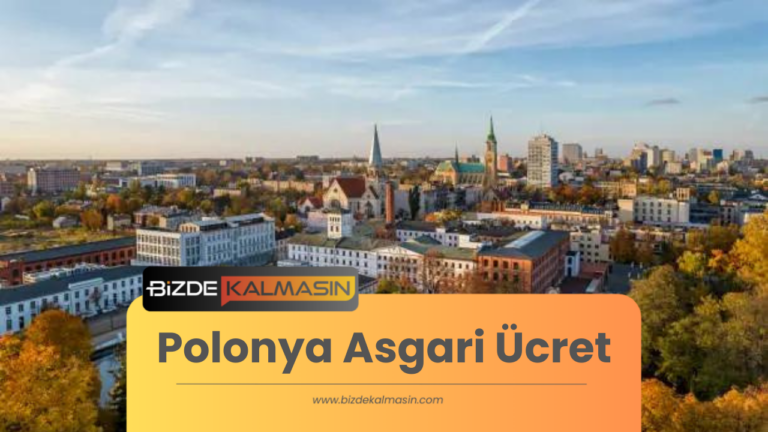 Polonya Asgari Ücret 2024 – Çalışma Oranı