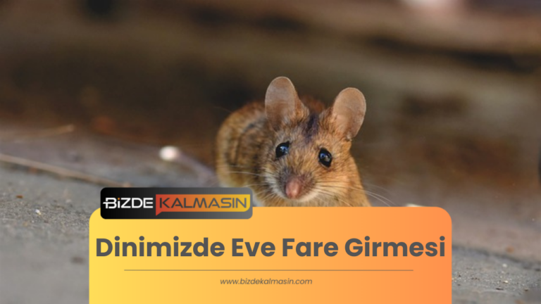 Dinimizde Eve Fare Girmesi – Fare Giren Eve Dua