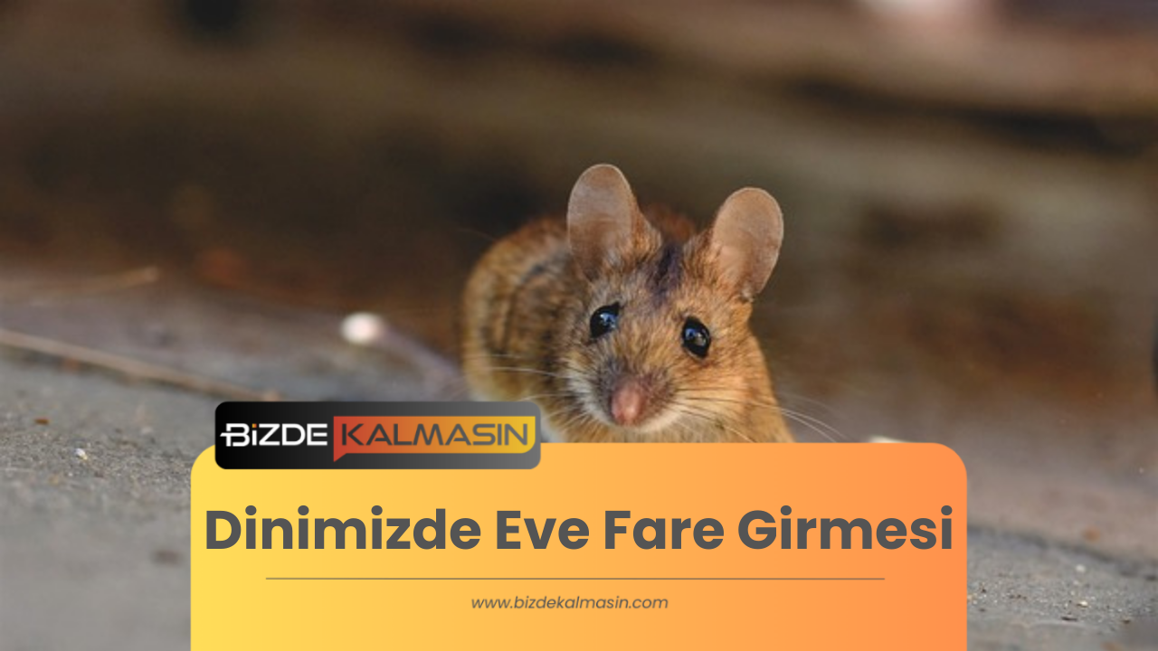 Dinimizde Eve Fare Girmesi - Fare Giren Eve Dua Dinimizde Eve Fare Girmesi