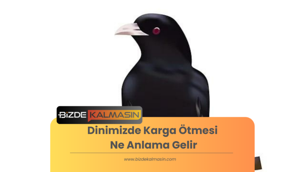 Dinimizde Karga Ötmesi Ne Anlama Gelir