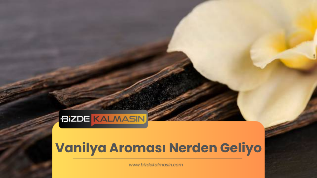 Vanilya Aroması Nerden Geliyo