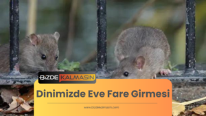 Dinimizde Eve Fare Girmesi