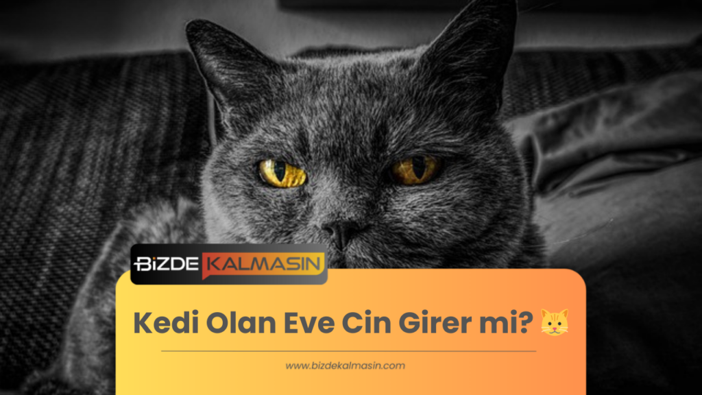 Kedi Olan Eve Cin Girer mi?