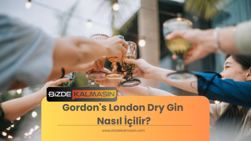 Gordon's London Dry Gin Nasıl İçilir?