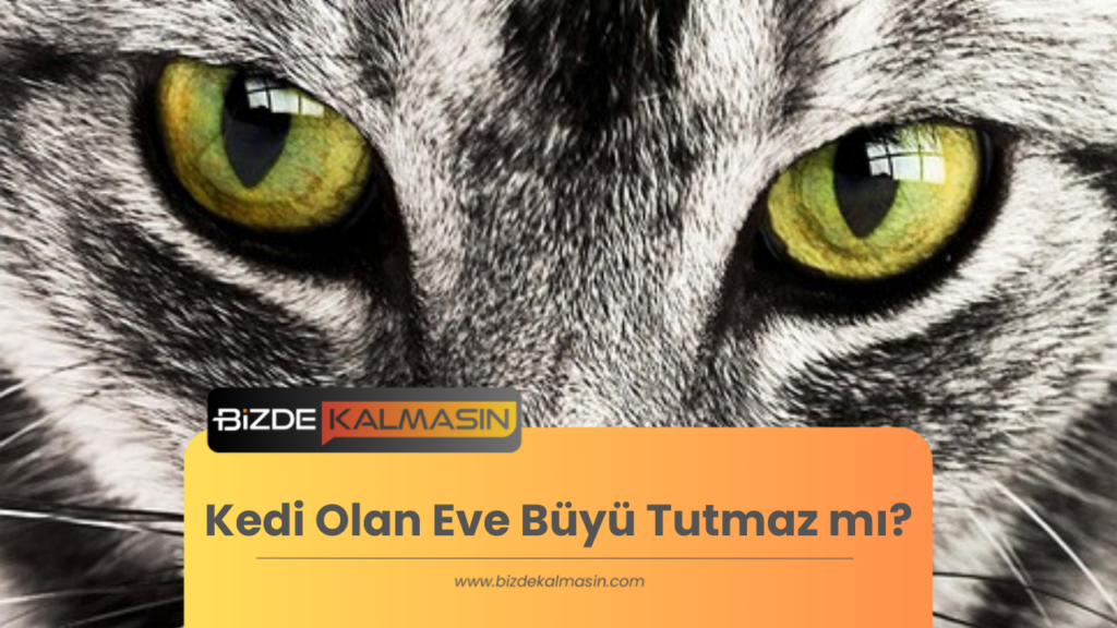 Kedi Olan Eve Büyü Tutmaz mı?