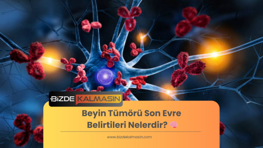 Beyin Tümörü Son Evre Belirtileri Nelerdir? 🧠