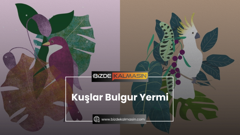 Kuşlar Bulgur Yermi