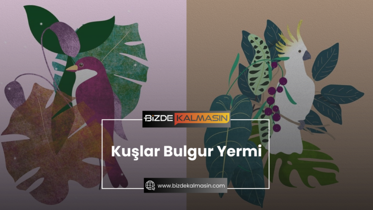 Kuşlar Bulgur Yermi ? Tüm Detaylar