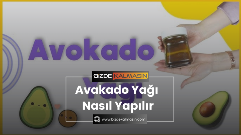 Avakado Yağı Nasıl Yapılır