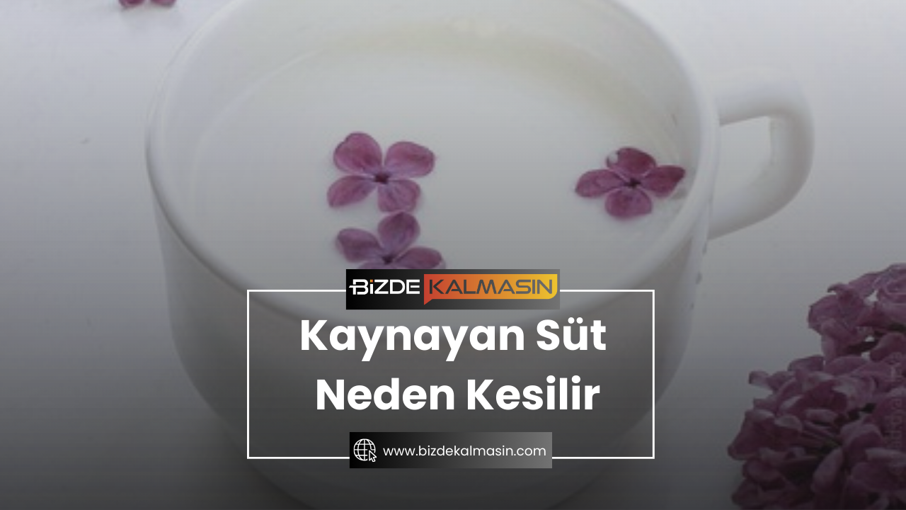 Kaynayan Süt Neden Kesilir ? Süt ve Yoğurt Yapımı Kaynayan Süt Neden Kesilir