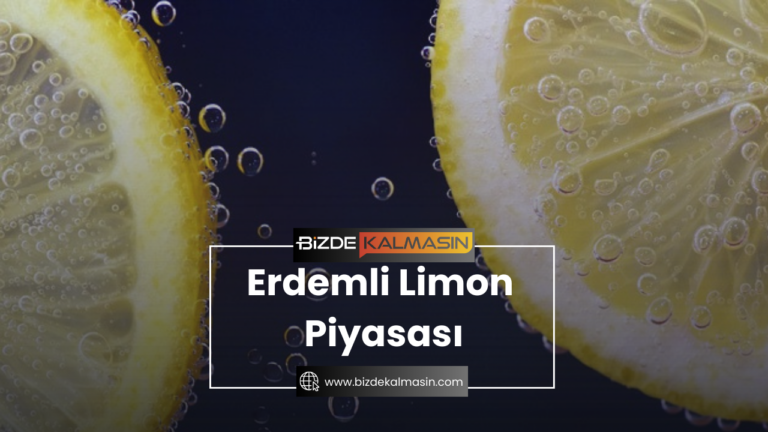 Erdemli Limon Piyasası – 1 Kasa Limon Fiyatı 