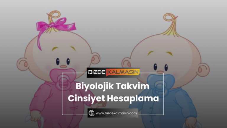 Biyolojik Takvim Cinsiyet Hesaplama – Kesin Tutan Cinsiyet Tahmini