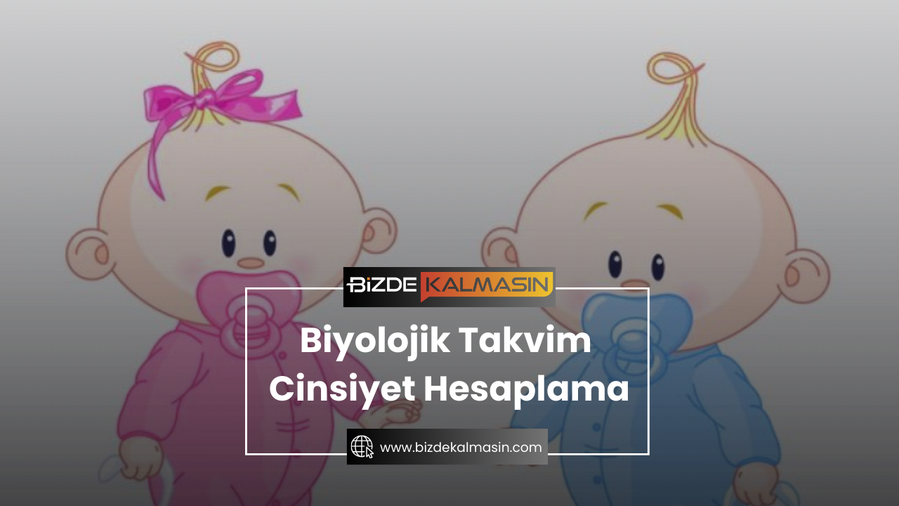 Biyolojik Takvim Cinsiyet Hesaplama