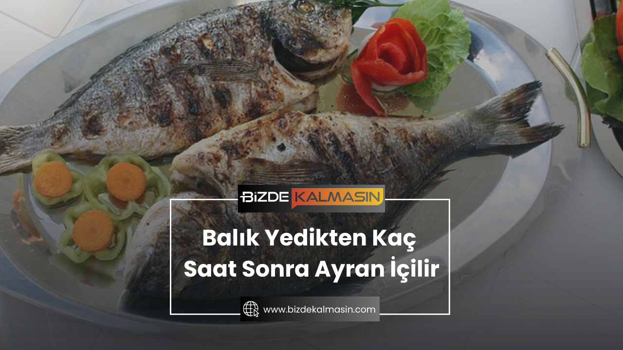 Balık Yedikten Kaç Saat Sonra Ayran İçilir Balık Yedikten Kaç Saat Sonra Ayran İçilir