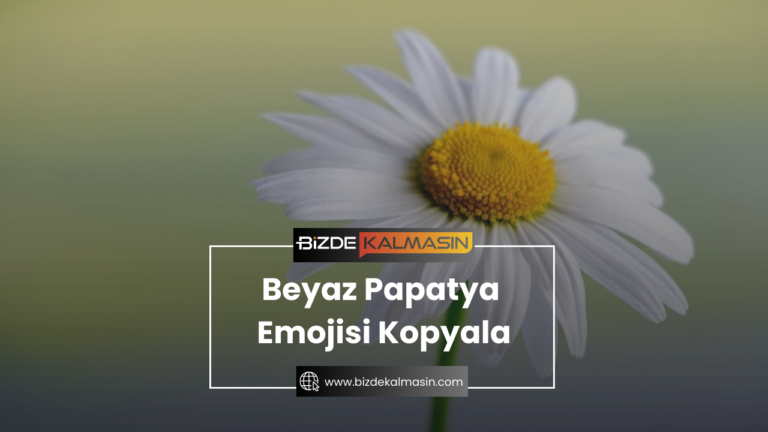 Beyaz Papatya Emojisi Kopyala