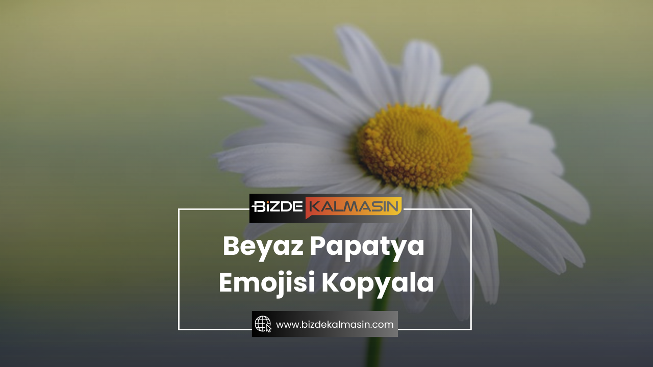Beyaz Papatya Emojisi Kopyala Beyaz Papatya Emojisi Kopyala