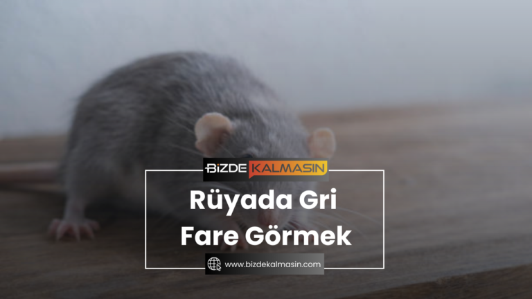 Rüyada Gri Fare Görmek