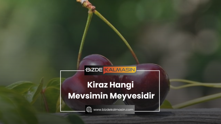 Kiraz Hangi Mevsimin Meyvesidir ?  Nar Meyvesi Hangi Mevsimde