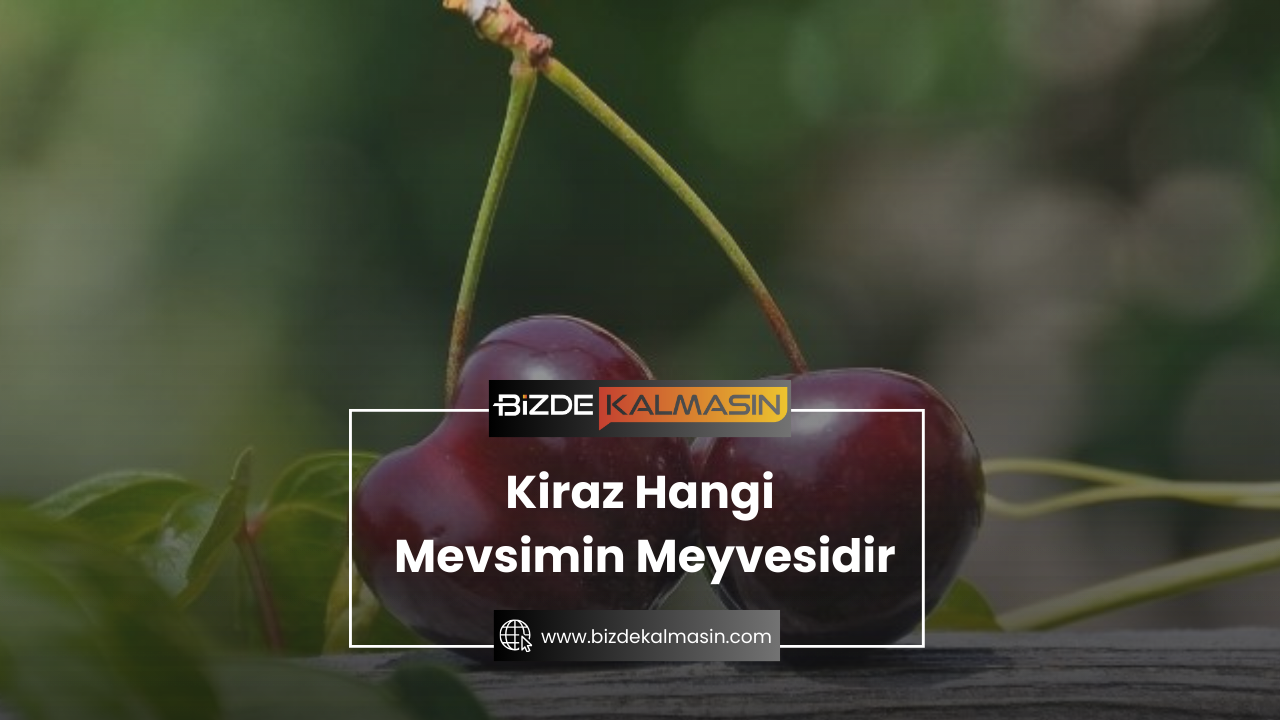 Kiraz Hangi Mevsimin Meyvesidir