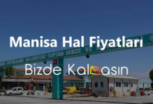 Manisa Hal Fiyatları