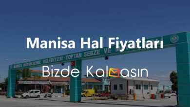 Manisa Hal Fiyatları