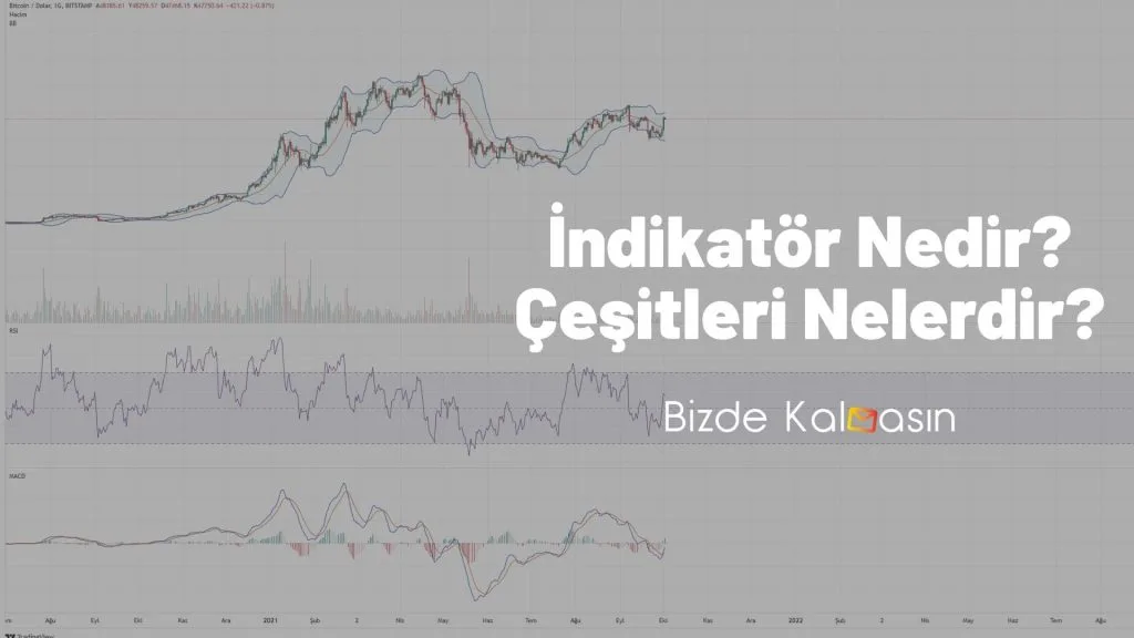 İndikatör Çeşitleri