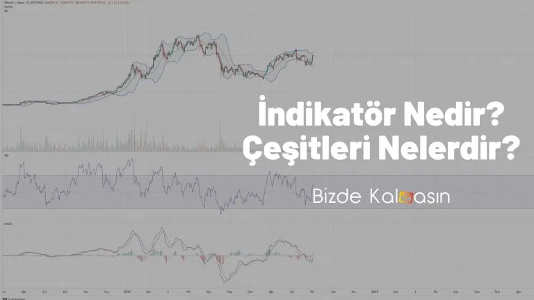 İndikatör Çeşitleri