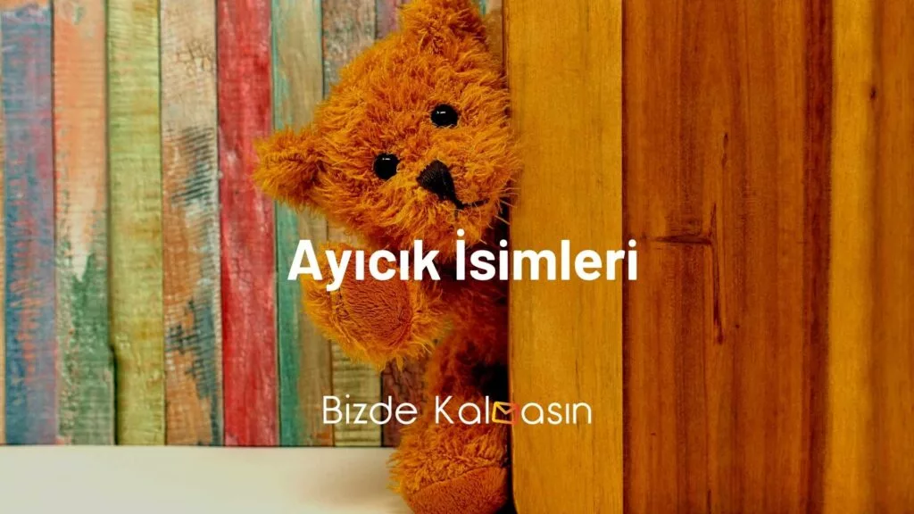 Ayıcık İsimleri