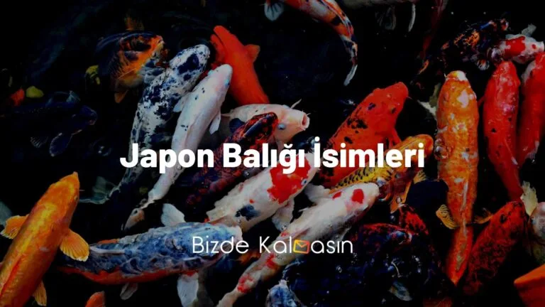 Japon Balığı İsimleri