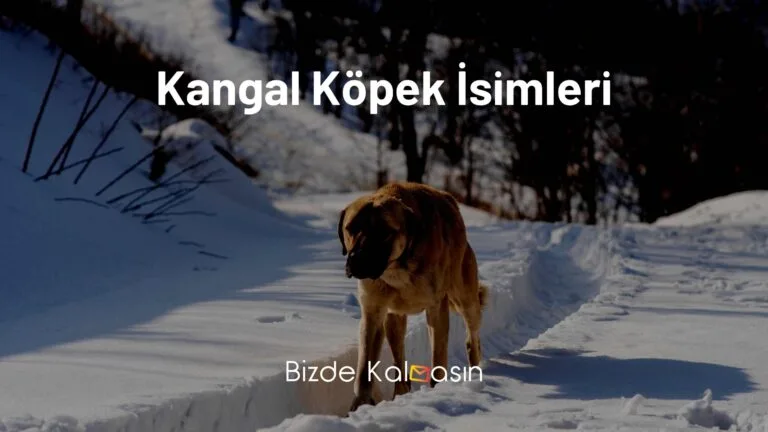 Kangal Köpek İsimleri