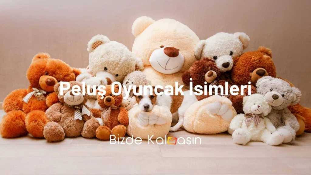 Peluş Oyuncak İsimleri