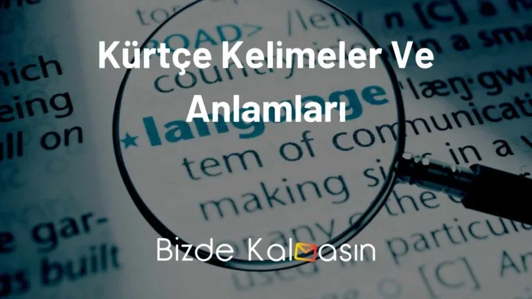 Kürtçe Kelimeler Ve Anlamları