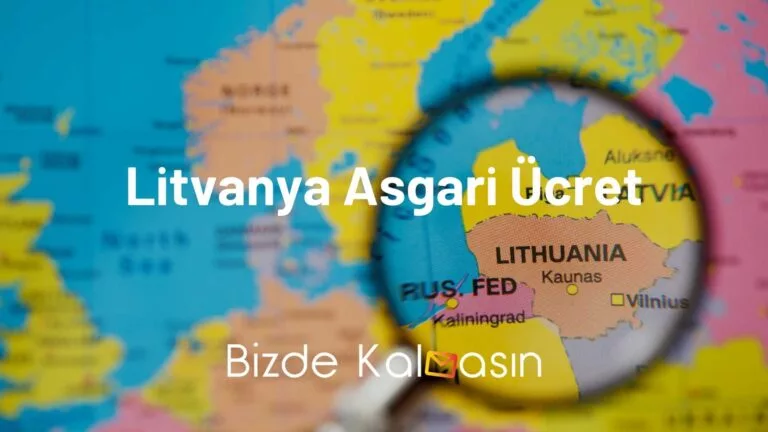 Litvanya Asgari Ücret 2025 – Yeni Yılda Neler Değişti?