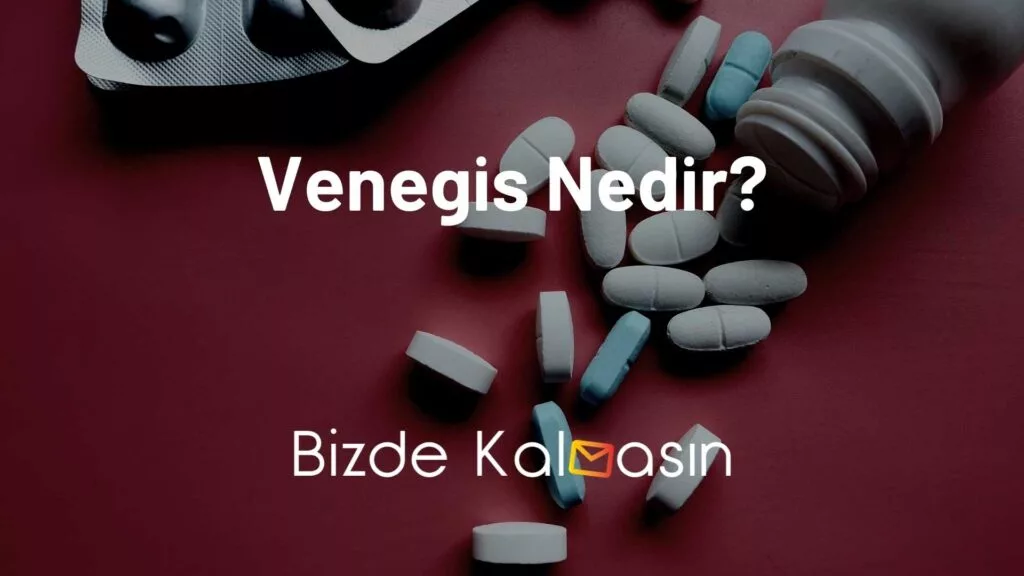 Venegis Nedir?