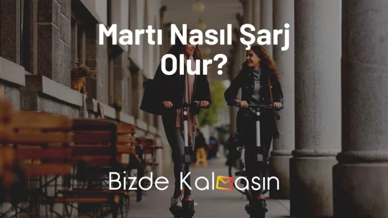 Martı Nasıl Şarj Olur? – Detaylı Anlatım