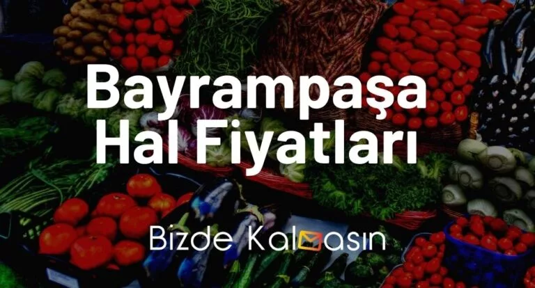 Bayrampaşa Hal Fiyatları 2023 – Güncel Meyve Sebze Fiyat Listesi