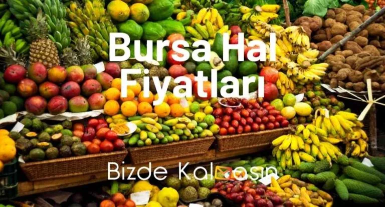 Bursa Hal Fiyatları 2023 – Bursa Sebze Meyve Hali Fiyatları